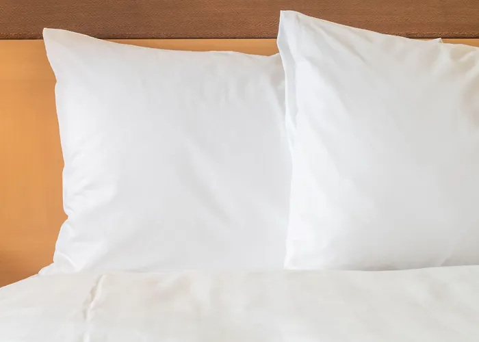 竞技场塔阿姆斯特丹假日酒店 4* 阿姆斯特丹